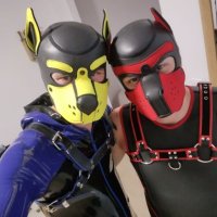 Pups Jay and Sky-AD (@pupjay7) 's Twitter Profile