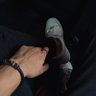 bono_ngai's profile picture. E-commerce entrepreneur, marketer, trader, and investor. | Business Account: @bonongai_