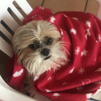 ChantalB66057's profile picture. 