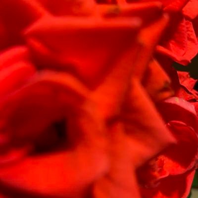 jennyja98980240's profile picture. 