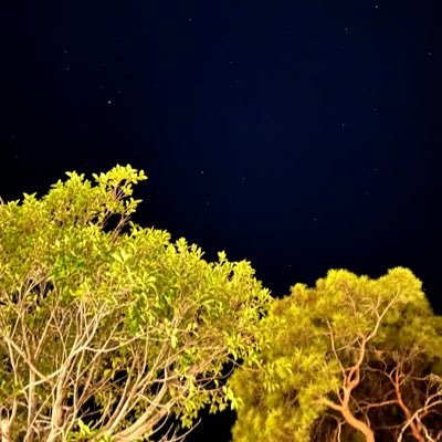 konusuyomoylee's profile picture. Olur öyle arada