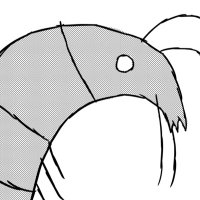 우새 (@uwu_sae__) 's Twitter Profile Photo