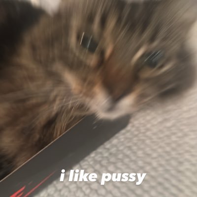 wsgriv's profile picture. tweeting on occasion // i follow back 🤙