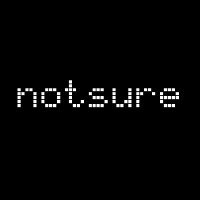 notsure(@itsnotsure) 's Twitter Profile Photo