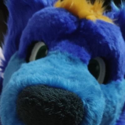 furry
23 years
Xbox and mobile gamer
profile for people over 18 years of age