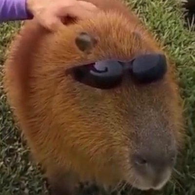 구독계/20^