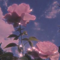 Gentle Roses (@rosesgentle) 's Twitter Profile Photo Gentle Roses (@rosesgentle) 's Twitter Profile Photo