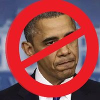 NObama(@MgJerryfletcher) 's Twitter Profile Photo