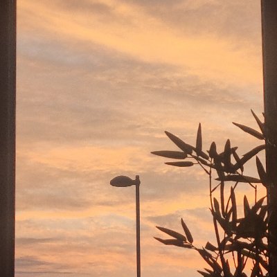 Stace24292902's profile picture. Private