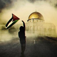Mohamed Hani πͺπ¬π΅πΈ (@mohamedhani616) 's Twitter Profile