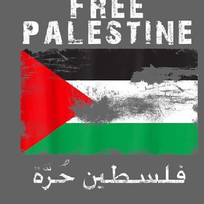 Free Palestine ✊️🇵🇸