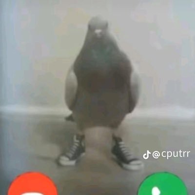 _clitorishugger's profile picture. 