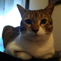 Jurgi Marcus (@jorge57603967) 's Twitter Profile