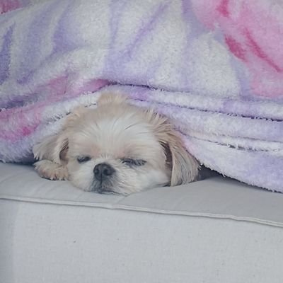 And_riaa's profile picture. A fonte