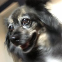 Jake (@jacob55820970) 's Twitter Profile