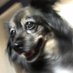 Jake (@jacob55820970) Twitter profile photo Jake (@jacob55820970) Twitter profile photo