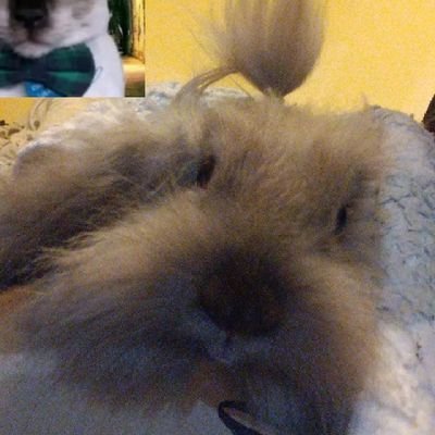 Santy_Cra's profile picture. 