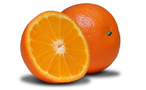 NaranjasRoque's profile picture. Somos una familia productora de naranjas desde décadas. Pide  nuestras naranjas, entonces nosotros te las recolectamos y  en 24 horas las tendrás en tu Casa.