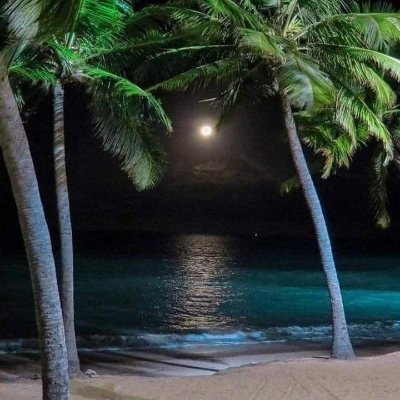 Pengyou72819's profile picture. 