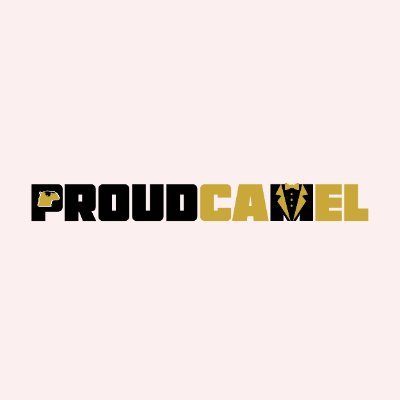 ProudCamelLabs Profile Picture