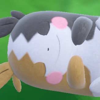morupokeca's profile picture. ポケカ🐱🤖サニメン🪸2024.S2優勝🏆