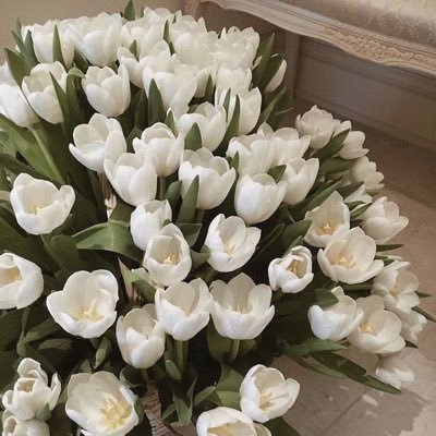 اللهم اغفر لي وللمسلمين والمسلمات ✨