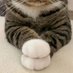 小猪软糖 (@nametesttestt) Twitter profile photo 小猪软糖 (@nametesttestt) Twitter profile photo