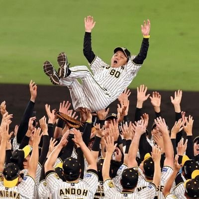 deporista1's profile picture. 野球とテレビとラジオ愛にあふれた人です
プロスピA／阪神タイガース／北海道日本ハムファイターズ／その他10球団も嫌いじゃない／＃snd（サンドリ）／朝ドラ／オードリーのANN／ナインティナインのANN／無言フォロー失礼します