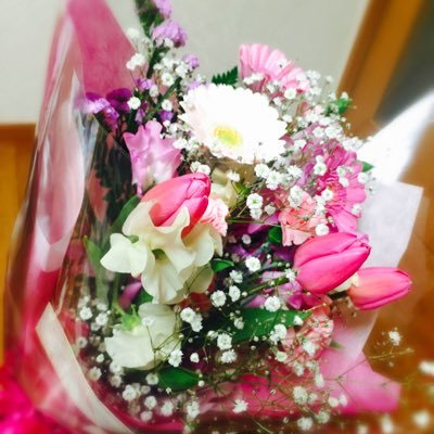 Enteacher170225's profile picture. 公立学校教員 11年目。 2児育て中のワーキングマザー。R7年度、R8.9の在外受験予定で準備中。