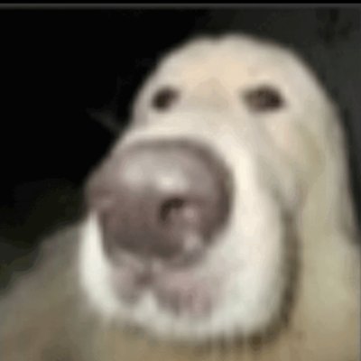 HahaGiggle1's profile picture. 