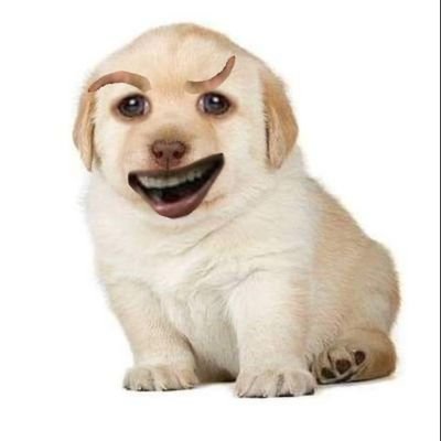 JonPiedro1's profile picture. vasco