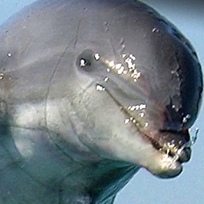 samidz122's profile picture. 