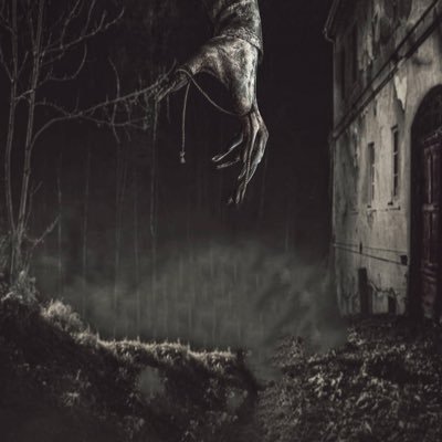 mudanidandan's profile picture. 