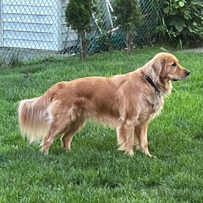 Designerstone's profile picture. Importers of Natural stone & glass tiles. We provide Designer Quality Stone & Glass Mosaic Tiles at Outlet Prices. Get Luxury 4 Less.