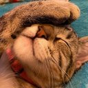 Rhonda Hamrick - @RhondaHamr6579 - Twitter