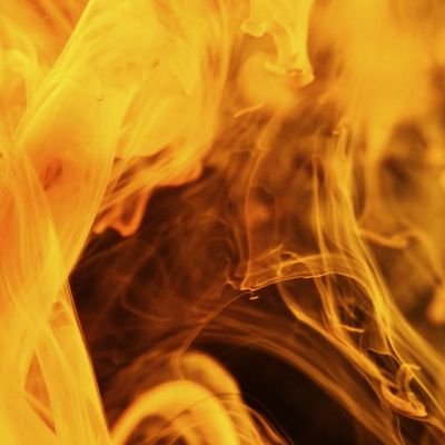 Elias24281856's profile picture. 