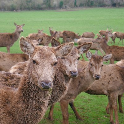 Taking you on a safari through natures best stories !