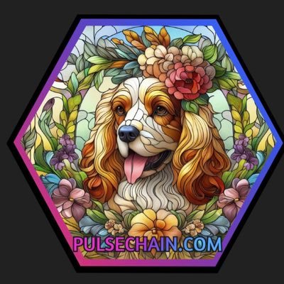 Hex, PulseChain, PulseX, Family, Hexicans, Travel & English Cocker Spaniels 🐶🐾