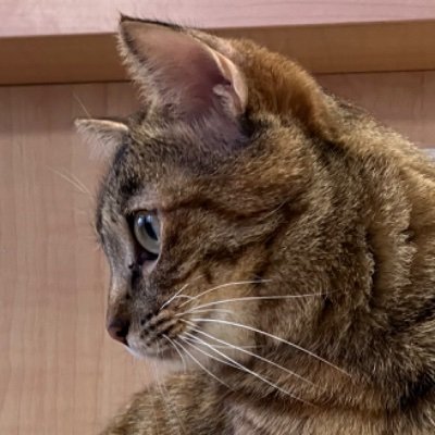 Hichulover's profile picture. Notes and Bookmarks
