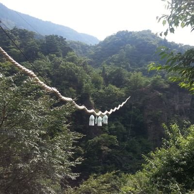 NakNaka10's profile picture. 昔、ドカタ系ナンチャッテIT職。
仕事人間だったけど、最近時間に余裕ができたので、ツイート始めました。
SF、マンガは１９８０年代から読んでます。
2023年から日本株投資を開始。
ブログ書いてます。