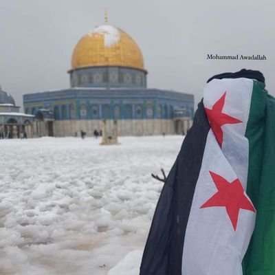 إبن الثورة السورية .... مغاوير الشام
الجيش الوطني السوري