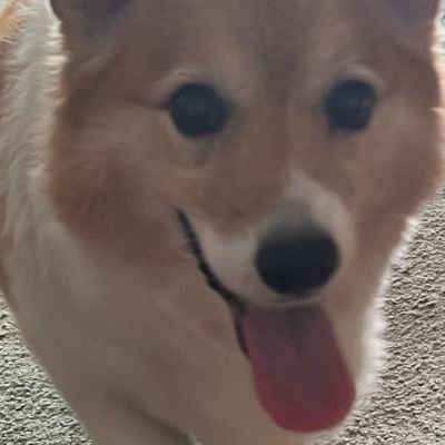 baekvin_exol's profile picture. 🌈🌈밤비-백현

EXO WE ARE ONE 사랑하자 💪💖
영원히 엑소와 함께 있을게요 💗💖

네가 어디 있다 해도 너를 사랑하고 있어 
 백현아🤭🍭🍭🍬🍬💗💗