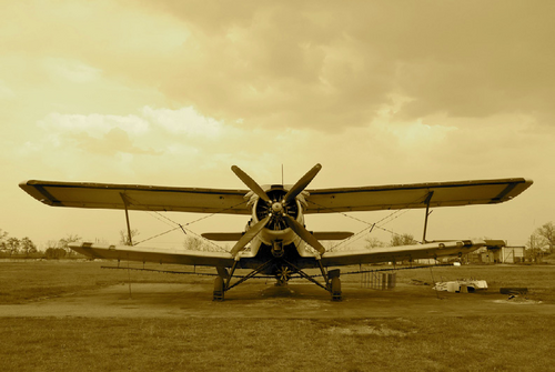 steveroache's profile picture. flying in the now