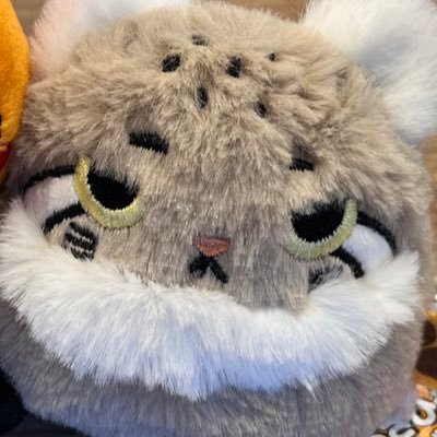 fykm12071511cus's profile picture. 