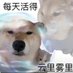 Noka♥️ 承花💖⭐️🍒(❌💢🔁) (@songloinhucho) Twitter profile photo Noka♥️ 承花💖⭐️🍒(❌💢🔁) (@songloinhucho) Twitter profile photo