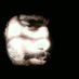 Aditya Singh (@adityaasing) Twitter profile photo Aditya Singh (@adityaasing) Twitter profile photo