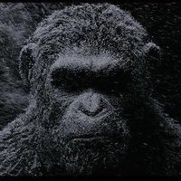 rsh3t (@rsh3t) 's Twitter Profile