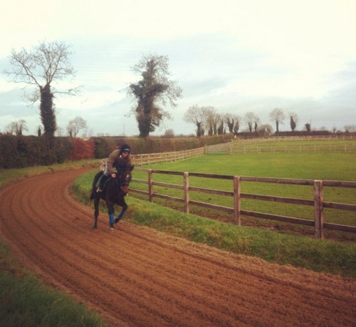 GiorgioDameri's profile picture. 