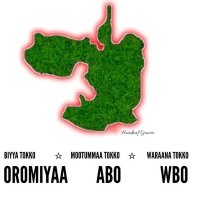 OROMIA FINFINNEE (@oromiafinfinne2) 's Twitter Profile