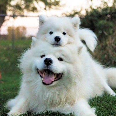 GoodSatawat's profile picture. 